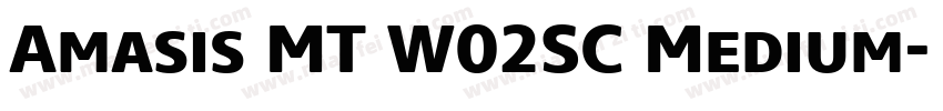 Amasis MT W02SC Medium字体转换